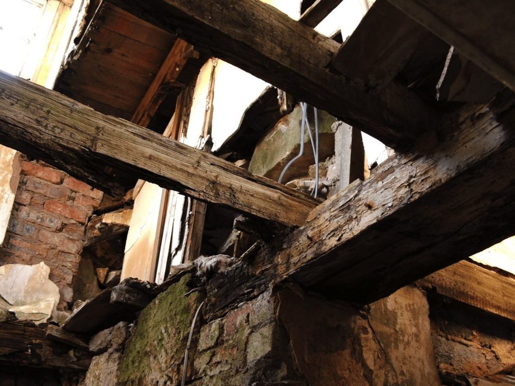 Dry Rot in Home
